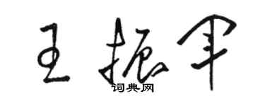 駱恆光王振軍草書個性簽名怎么寫