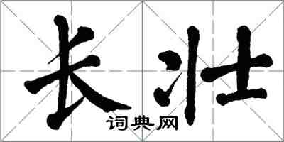 翁闓運長壯楷書怎么寫