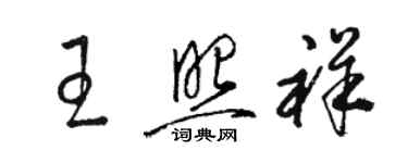 駱恆光王照祥草書個性簽名怎么寫