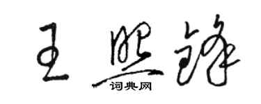 駱恆光王照鋒草書個性簽名怎么寫