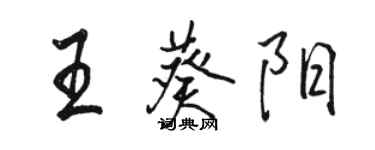 駱恆光王葵陽行書個性簽名怎么寫