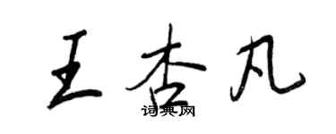 王正良王杏凡行書個性簽名怎么寫