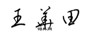 梁錦英王華田草書個性簽名怎么寫