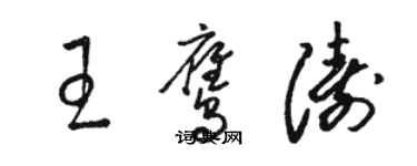 駱恆光王鷹濤草書個性簽名怎么寫