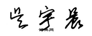 朱錫榮吳宇晨草書個性簽名怎么寫