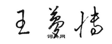 駱恆光王夢博草書個性簽名怎么寫