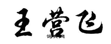 胡問遂王營飛行書個性簽名怎么寫