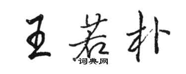 駱恆光王若朴行書個性簽名怎么寫