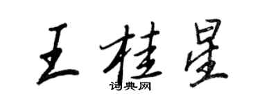 王正良王桂星行書個性簽名怎么寫