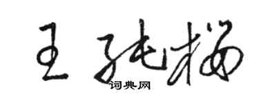 駱恆光王純櫻草書個性簽名怎么寫