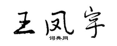 曾慶福王鳳宇行書個性簽名怎么寫
