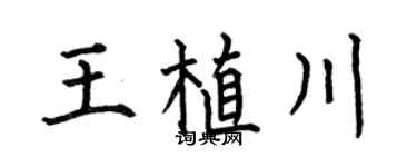 何伯昌王植川楷書個性簽名怎么寫