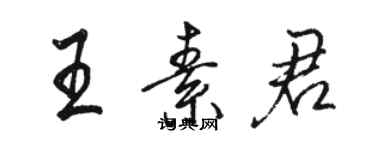 駱恆光王素君行書個性簽名怎么寫