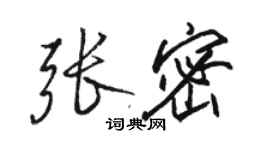 駱恆光張密行書個性簽名怎么寫