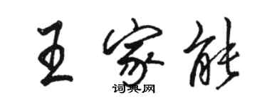 駱恆光王家能行書個性簽名怎么寫