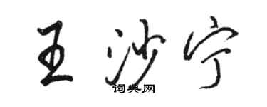 駱恆光王沙寧行書個性簽名怎么寫