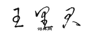 駱恆光王里君草書個性簽名怎么寫