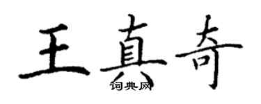 丁謙王真奇楷書個性簽名怎么寫