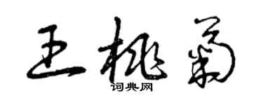 曾慶福王桃菊草書個性簽名怎么寫