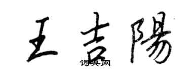 王正良王吉陽行書個性簽名怎么寫