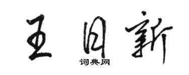 駱恆光王日新行書個性簽名怎么寫