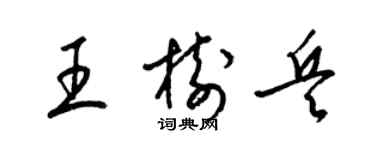 梁錦英王樹兵草書個性簽名怎么寫
