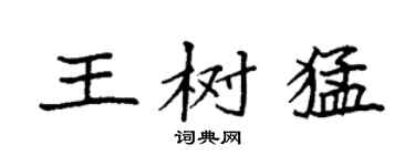 袁強王樹猛楷書個性簽名怎么寫