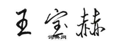 駱恆光王寶赫行書個性簽名怎么寫