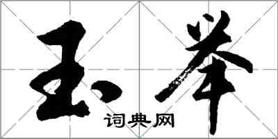 胡問遂玉舉行書怎么寫