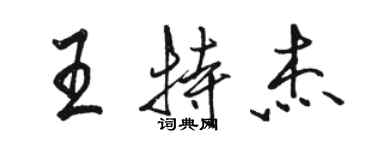 駱恆光王特傑行書個性簽名怎么寫