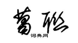 朱錫榮葛聯草書個性簽名怎么寫