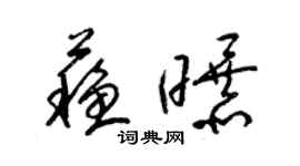梁錦英蘇曝草書個性簽名怎么寫
