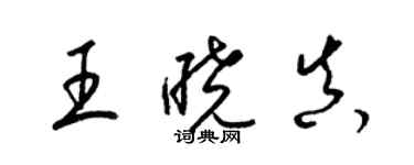 梁錦英王曉真草書個性簽名怎么寫