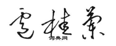 駱恆光盧桂蘭草書個性簽名怎么寫