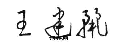 駱恆光王建麗草書個性簽名怎么寫