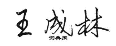 駱恆光王成林行書個性簽名怎么寫
