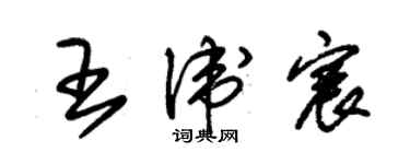 朱錫榮王衛宸草書個性簽名怎么寫