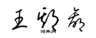 梁錦英王期贏草書個性簽名怎么寫