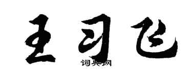 胡問遂王習飛行書個性簽名怎么寫