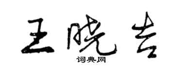 曾慶福王曉吉行書個性簽名怎么寫