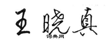 駱恆光王曉真行書個性簽名怎么寫