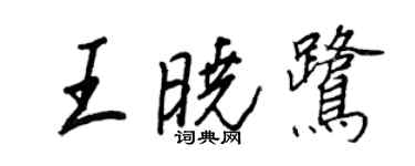 王正良王曉鷺行書個性簽名怎么寫