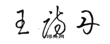 駱恆光王詩丹草書個性簽名怎么寫