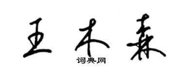 梁錦英王木森草書個性簽名怎么寫