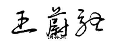 曾慶福王蔚馳草書個性簽名怎么寫