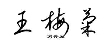 梁錦英王梅菊草書個性簽名怎么寫