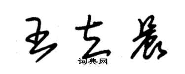 朱錫榮王立晨草書個性簽名怎么寫