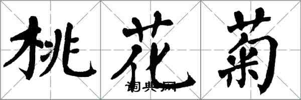 翁闓運桃花菊楷書怎么寫