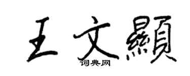 王正良王文顯行書個性簽名怎么寫