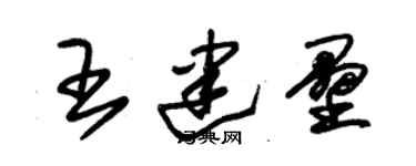 朱錫榮王建壘草書個性簽名怎么寫